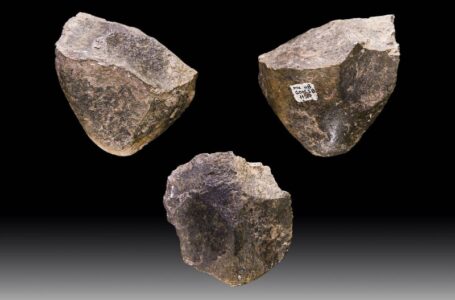 فناوری ابزار سنگی؛ میراث ماندگار میلیون‌ها ساله انسان‌ها